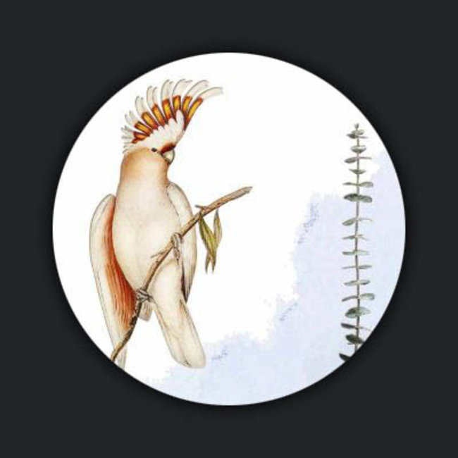 Wandkraft Bright Wings 025 - rond