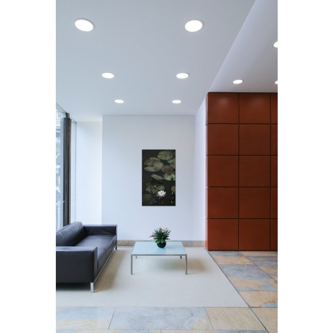 Wandkraft Art of Nature 003