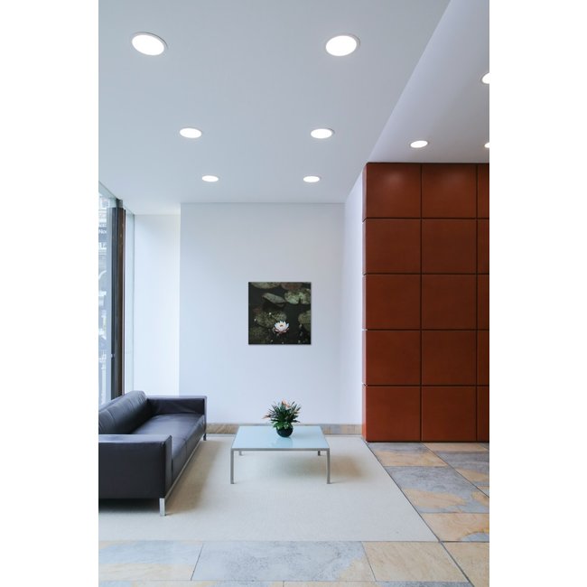 Wandkraft Art of Nature 003