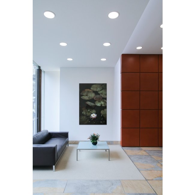 Wandkraft Art of Nature 003