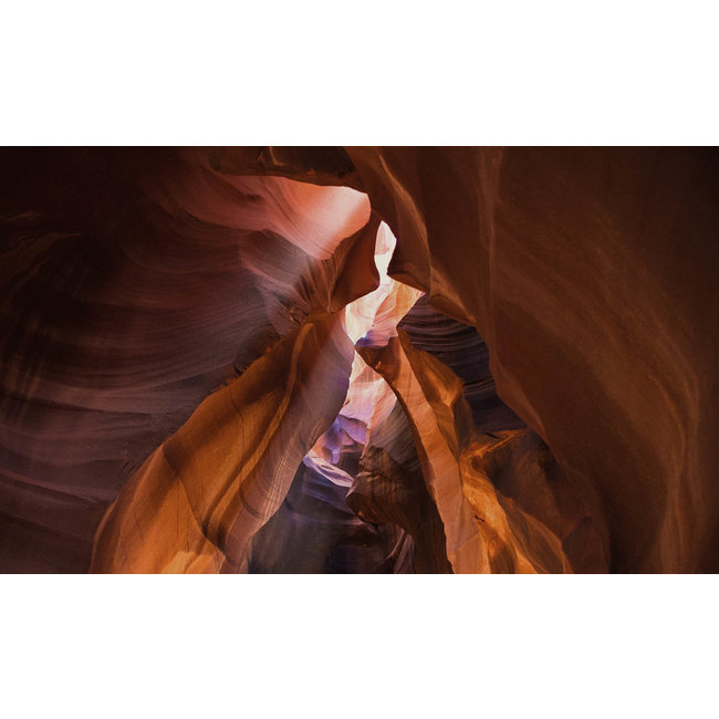 Wandkraft Art of Nature 005