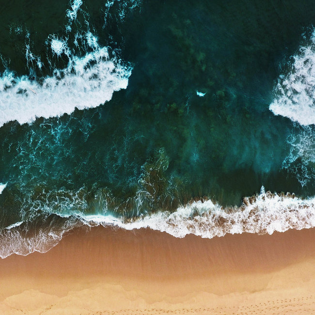 Wandkraft Art of Nature 010