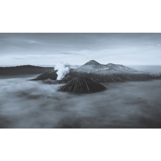 Wandkraft Art of Nature 015