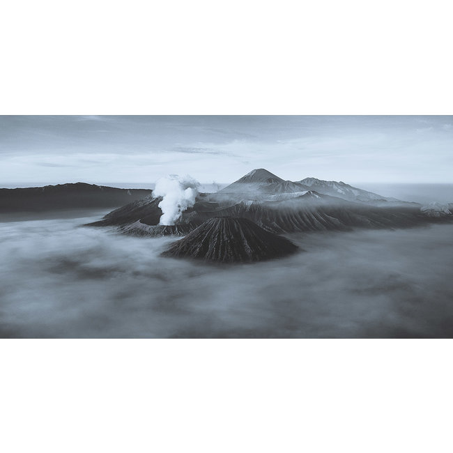 Wandkraft Art of Nature 015