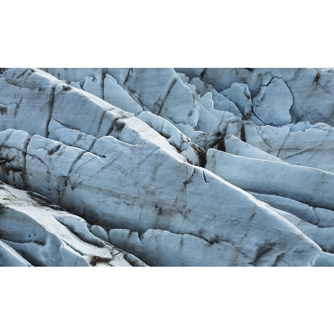 Wandkraft Art of Nature 019