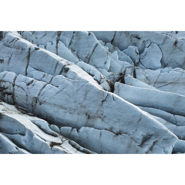 Wandkraft Art of Nature 019