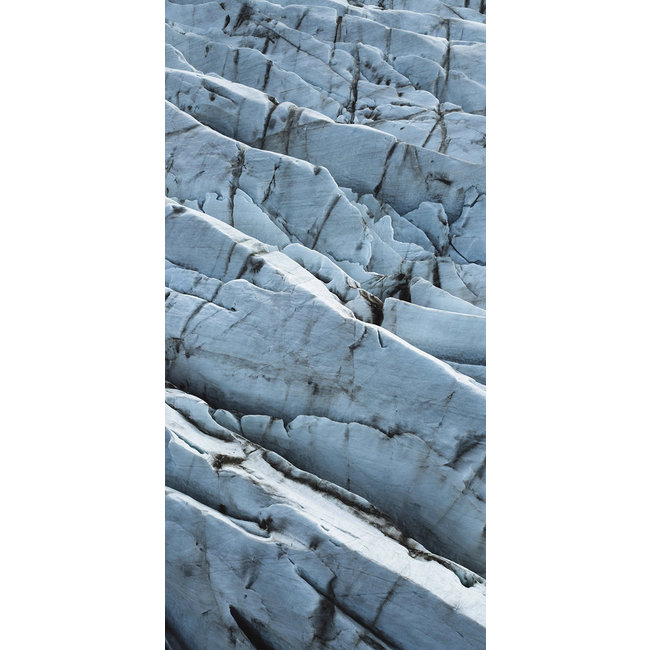 Wandkraft Art of Nature 019