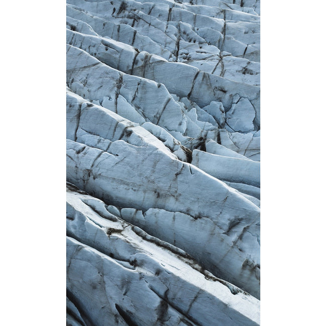 Wandkraft Art of Nature 019