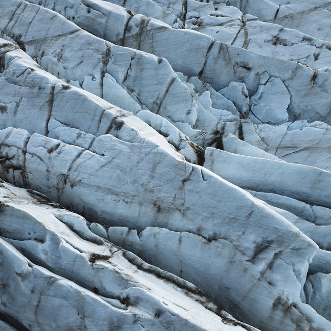 Wandkraft Art of Nature 019