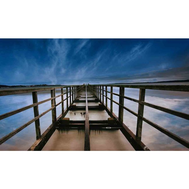 Wandkraft Art of Nature 039