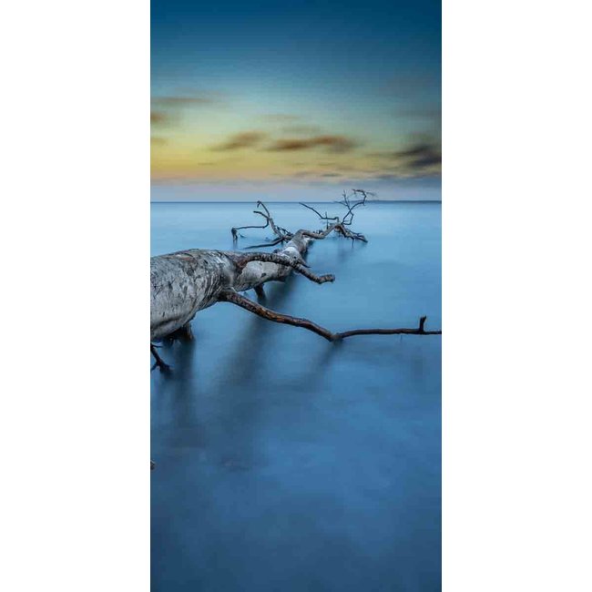 Wandkraft Art of Nature 041