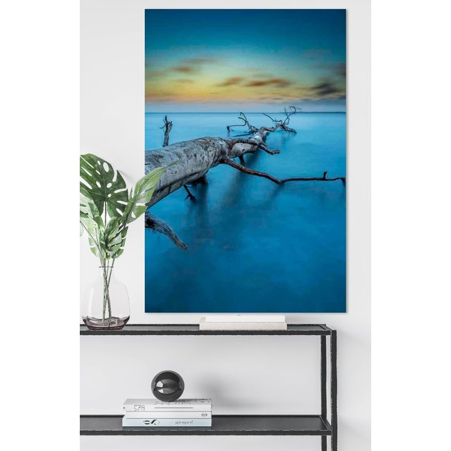 Wandkraft Art of Nature 041