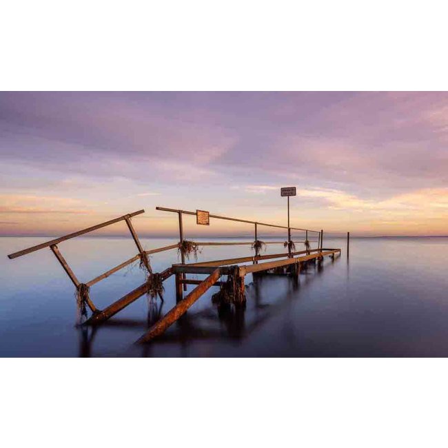 Wandkraft Art of Nature 042