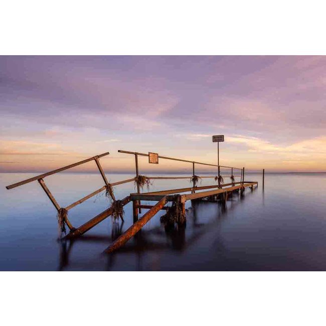 Wandkraft Art of Nature 042