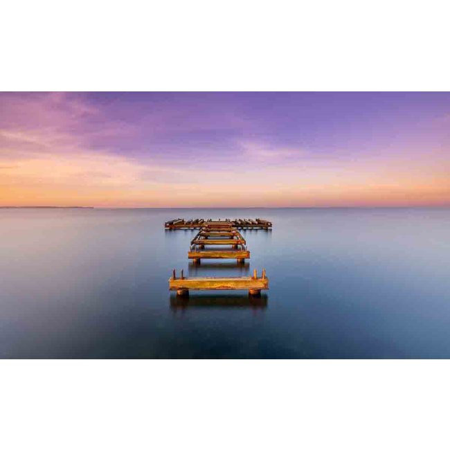 Wandkraft Art of Nature 043