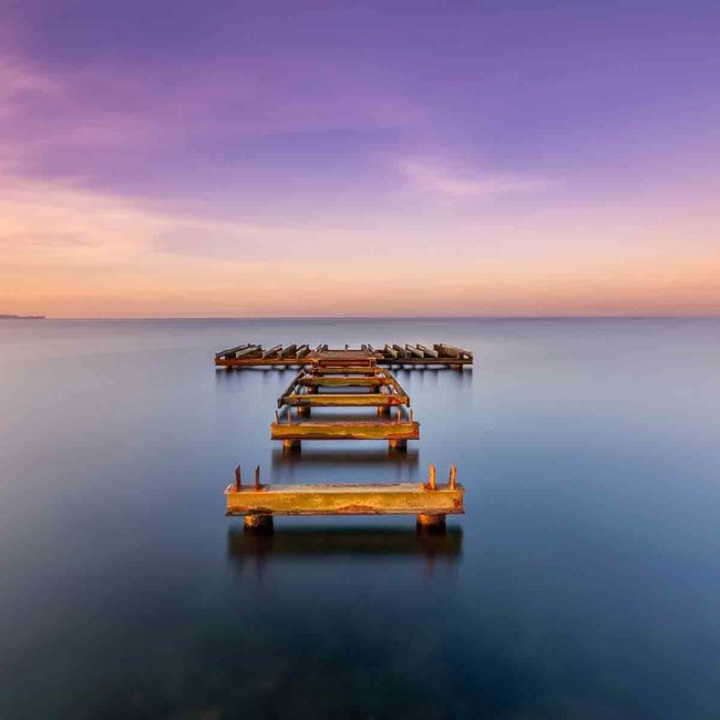 Wandkraft Art of Nature 043