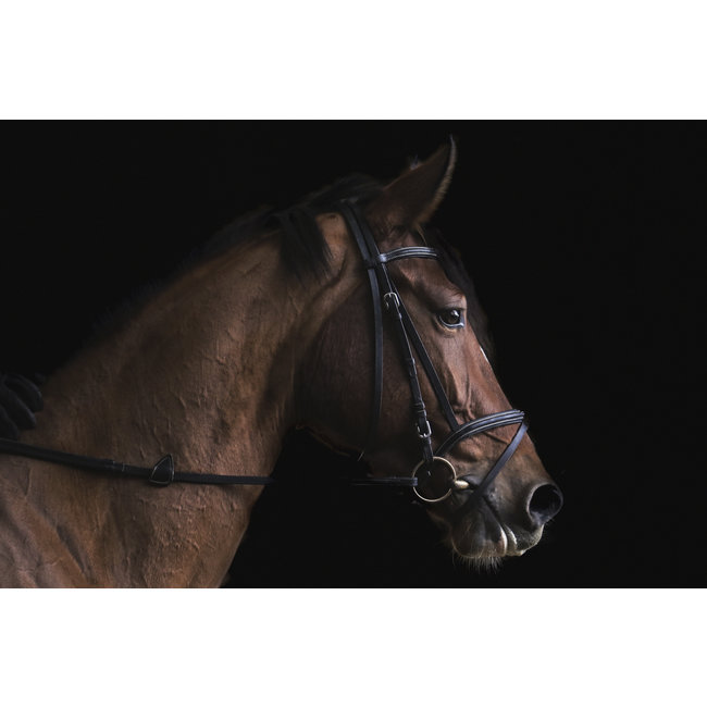 Wandkraft At the Farm 001