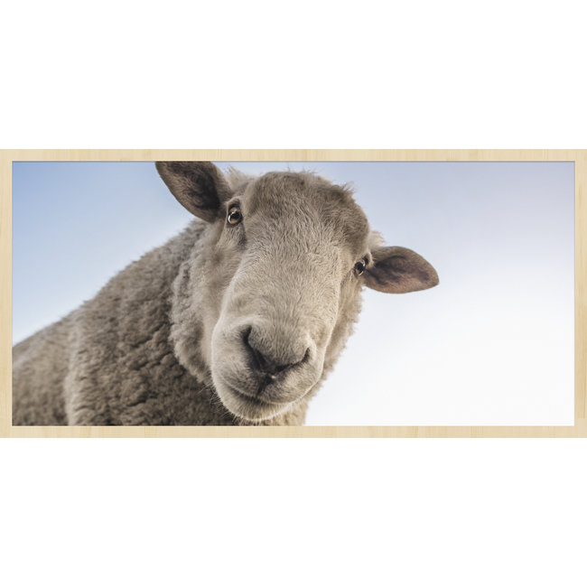 Wandkraft At the Farm 002