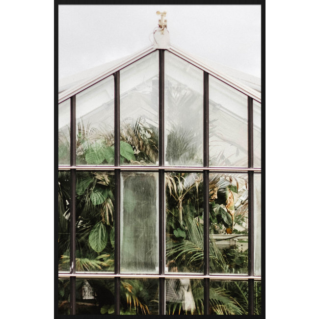 Wandkraft Botanical Stories 012