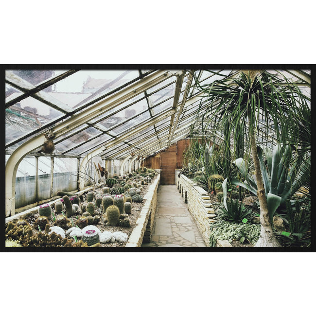 Wandkraft Botanical Stories 013