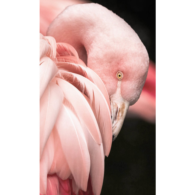 Wandkraft Bright Wings 003