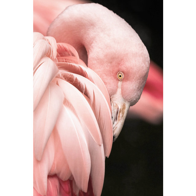 Wandkraft Bright Wings 003