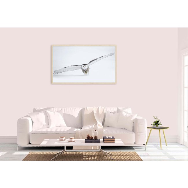 Wandkraft Bright Wings 008