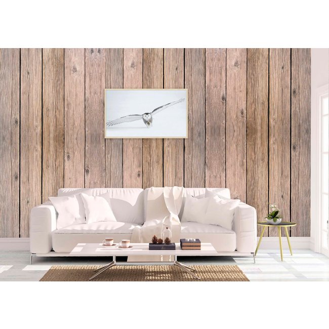 Wandkraft Bright Wings 008