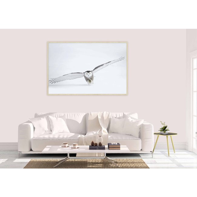 Wandkraft Bright Wings 008