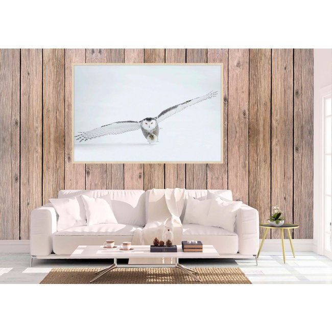 Wandkraft Bright Wings 008