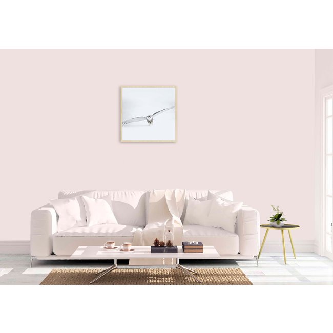 Wandkraft Bright Wings 008