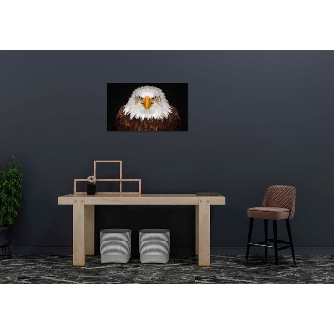 Wandkraft Bright Wings 015