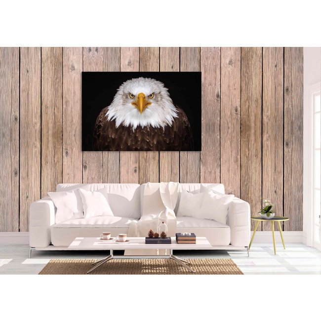 Wandkraft Bright Wings 015