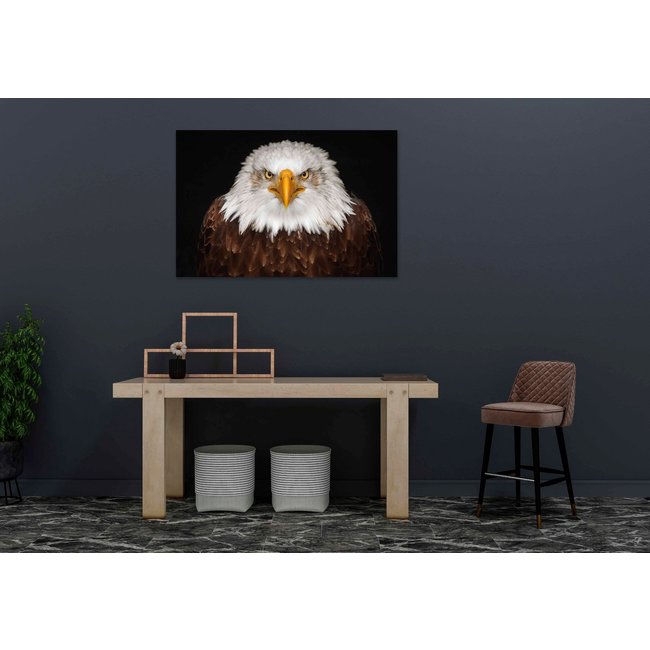 Wandkraft Bright Wings 015