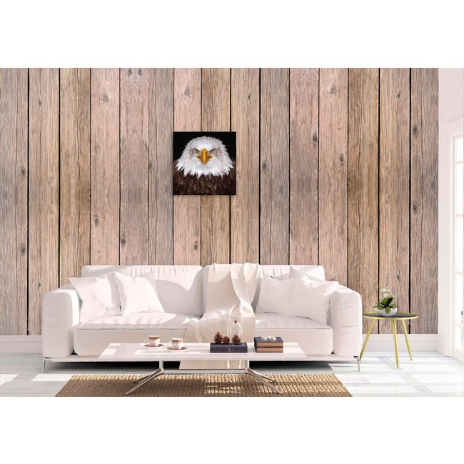 Wandkraft Bright Wings 015