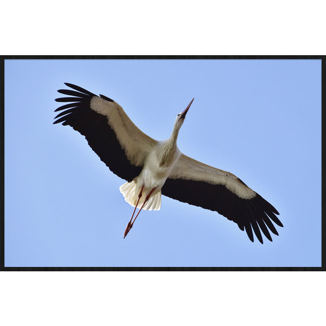 Wandkraft Bright Wings 021