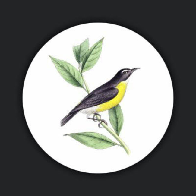 Wandkraft Bright Wings 028