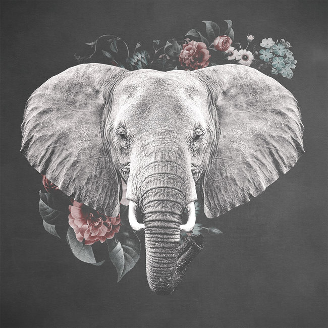 Wandkraft Elephant with Flowers - 74 x 74 cm
