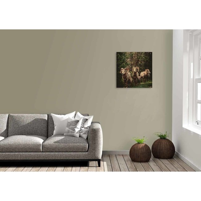 Wandkraft European Wildlife 003