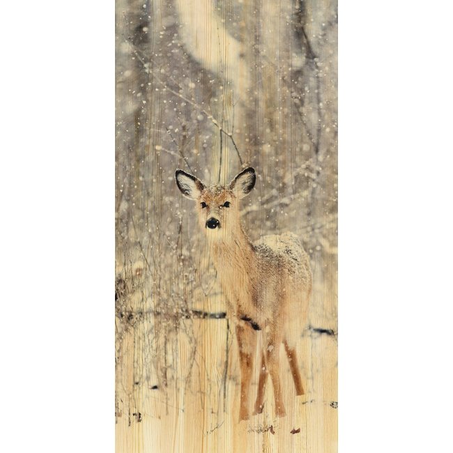 Wandkraft European Wildlife 007