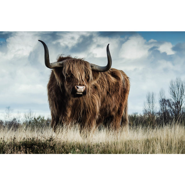 Wandkraft European Wildlife 008