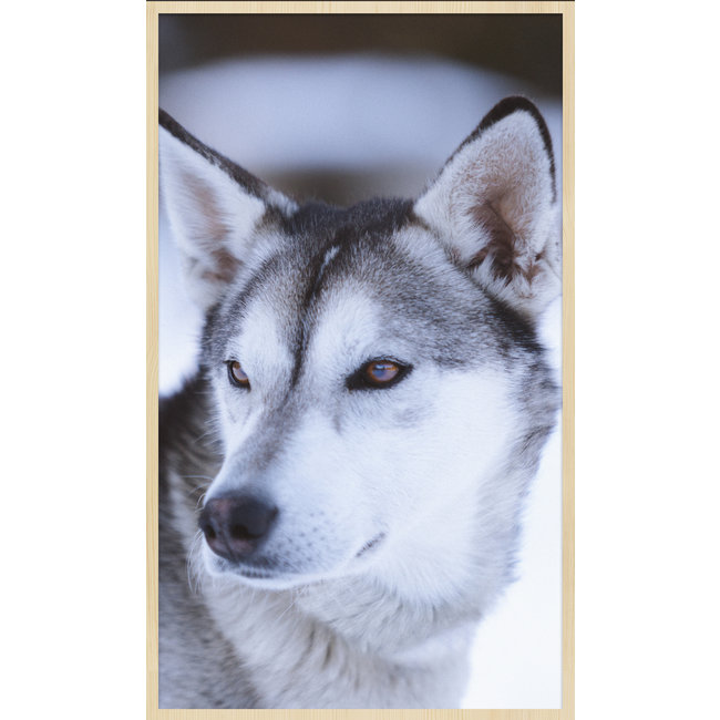 Wandkraft European Wildlife 012