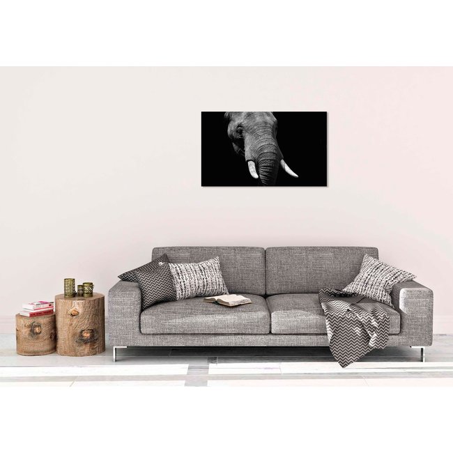 Wandkraft Faces 023 - Faces 74 x 74 cm