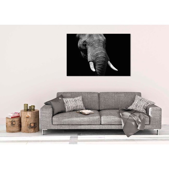 Wandkraft Faces 023 - Faces 74 x 74 cm