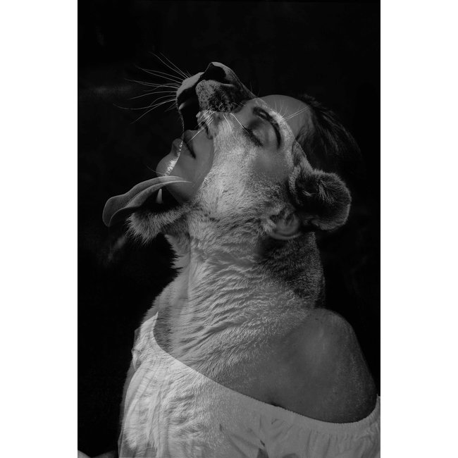 Wandkraft Fashionista 012