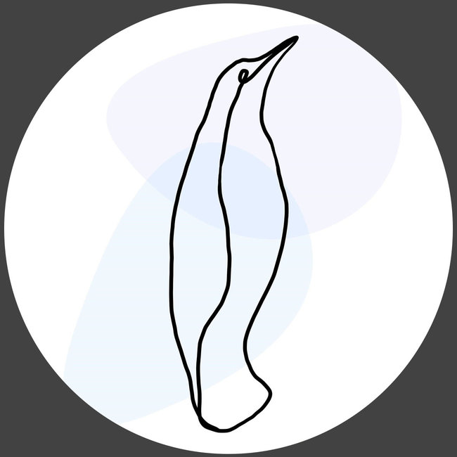 Wandkraft Fineline 016