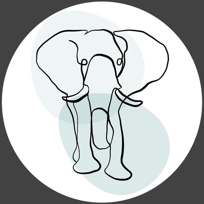 Wandkraft Fineline 017