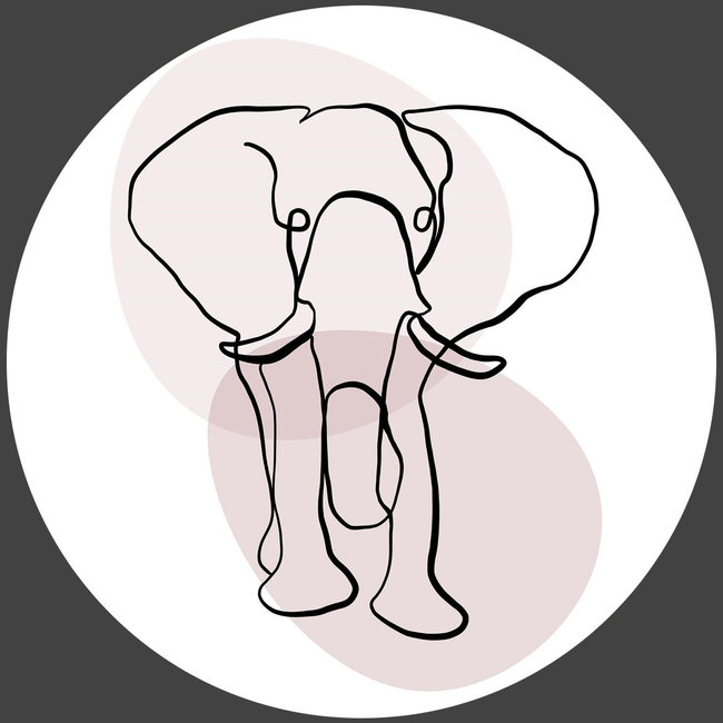 Wandkraft Fineline 017