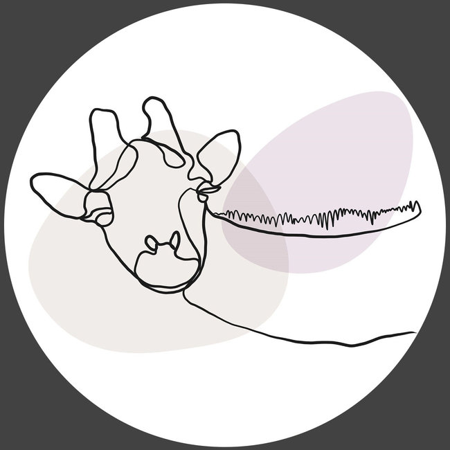 Wandkraft Fineline 018