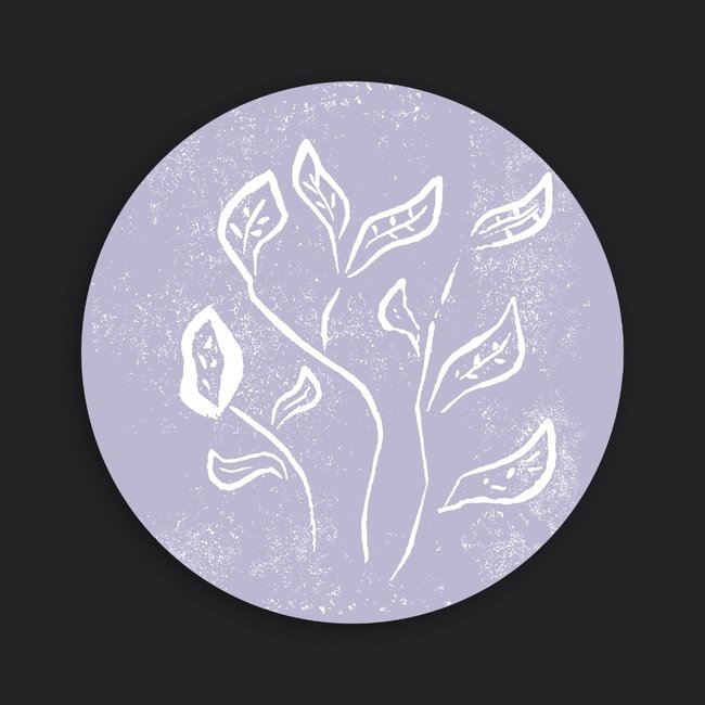 Wandkraft Fineline 020